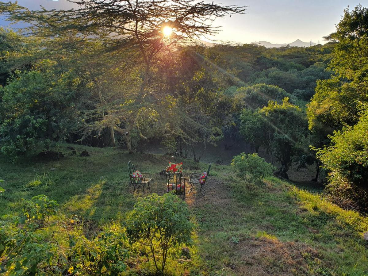 הוילה Usa River Hillside Retreat - Africa Amini Life מראה חיצוני תמונה